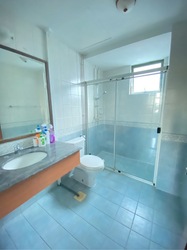 Gold Palm Mansion (D15), Apartment #574259311